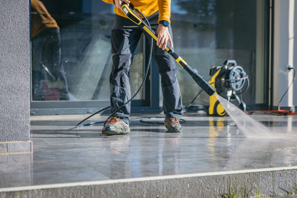 Best House Pressure Washing  in Elfers, FL