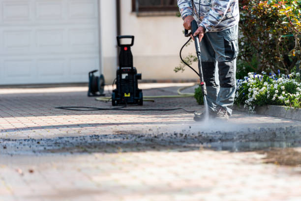 Best Pressure Washing Near Me  in Elfers, FL