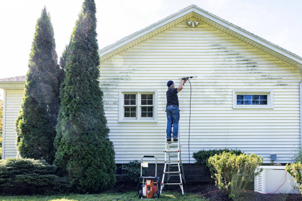 Best Roof Pressure Washing  in Elfers, FL